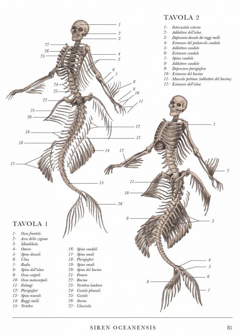 IL CODICE DELLE CREATURE ESTINTE