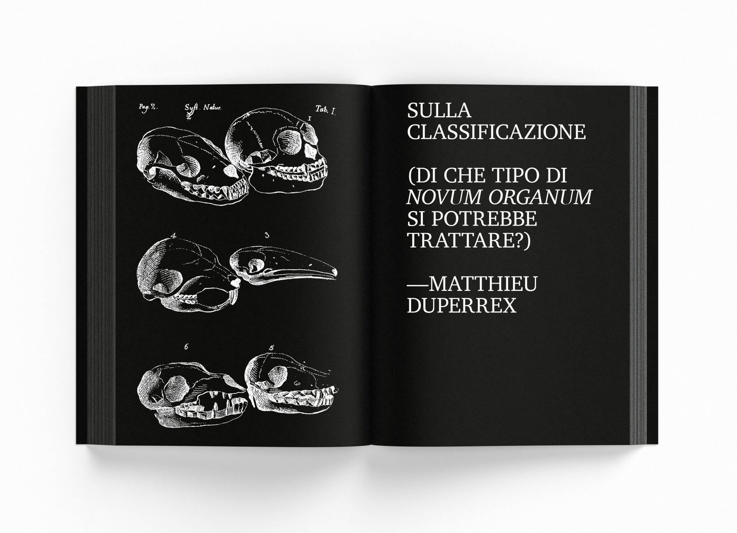Bestiario dell’antropocene