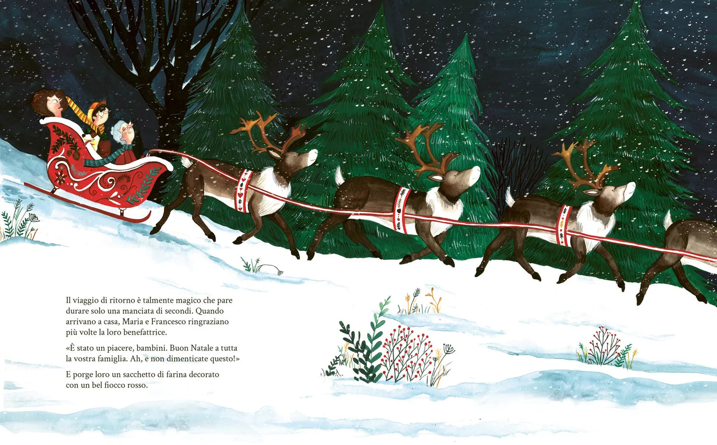La favolosa notte di Natale