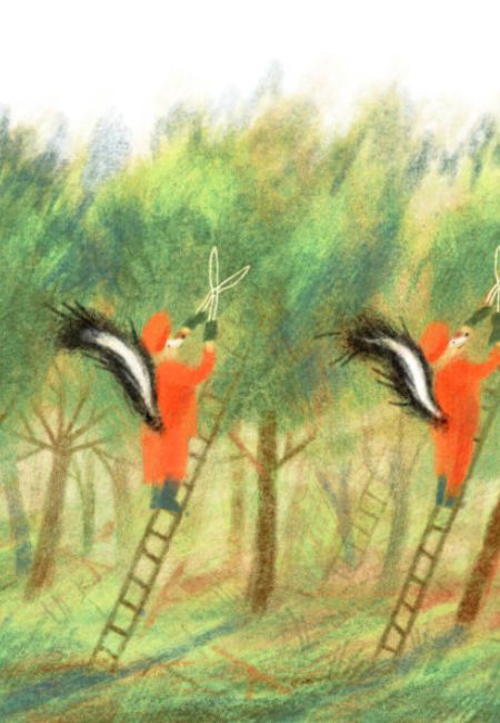 Nel regno di Nientepopodimenoché