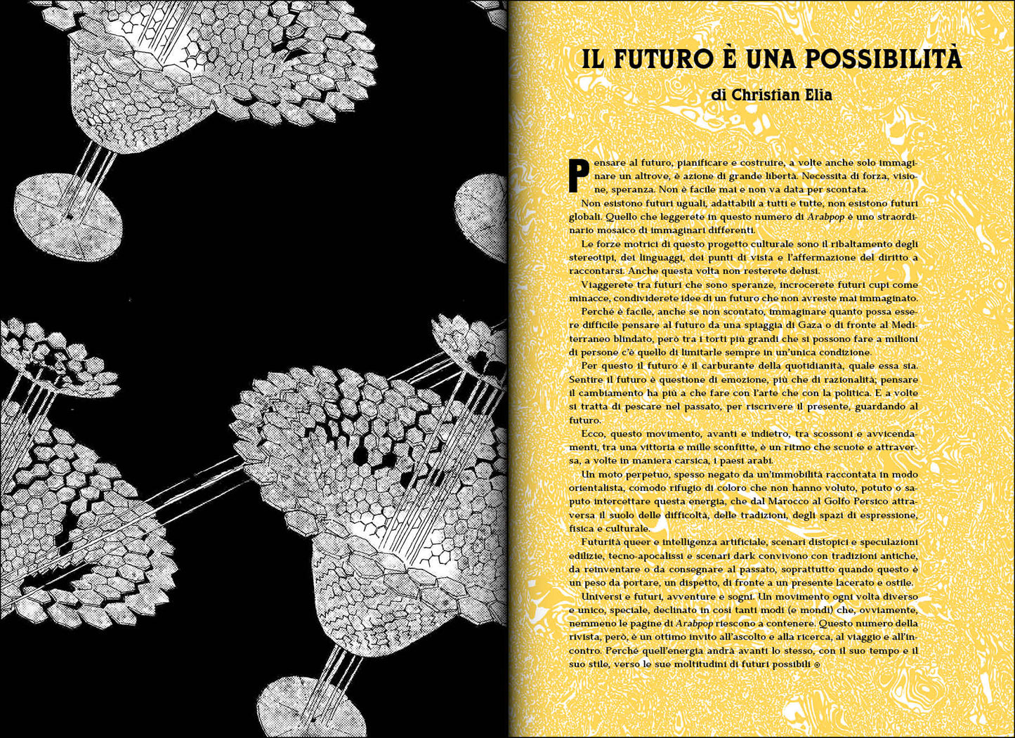 Arabpop. Rivista di arti e letterature arabe contemporanee Vol. 2