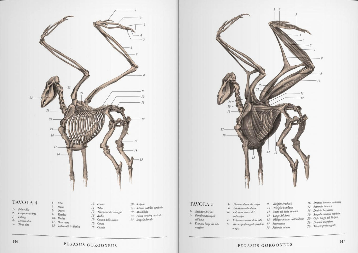 IL CODICE DELLE CREATURE ESTINTE